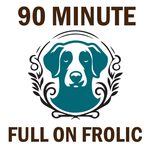 A graphic with the text '90 MINUTE' at the top and 'FULL ON FROLIC' at the bottom, surrounding a teal dog silhouette inside a circular wreath on a white background.