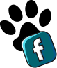 Facebook Icon