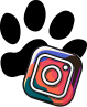Instagram Icon